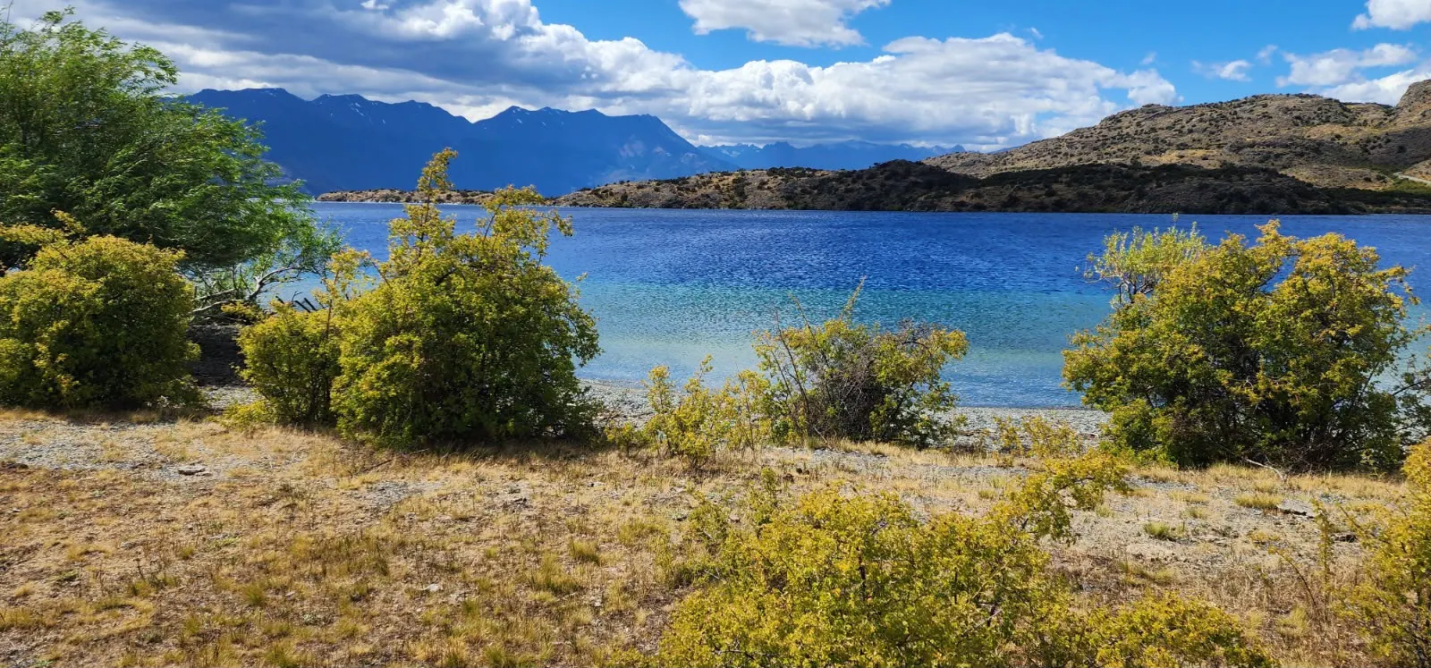 Aguas turquesa del Lago Cochrane con matorral en primer plano y la cordillera al fondo