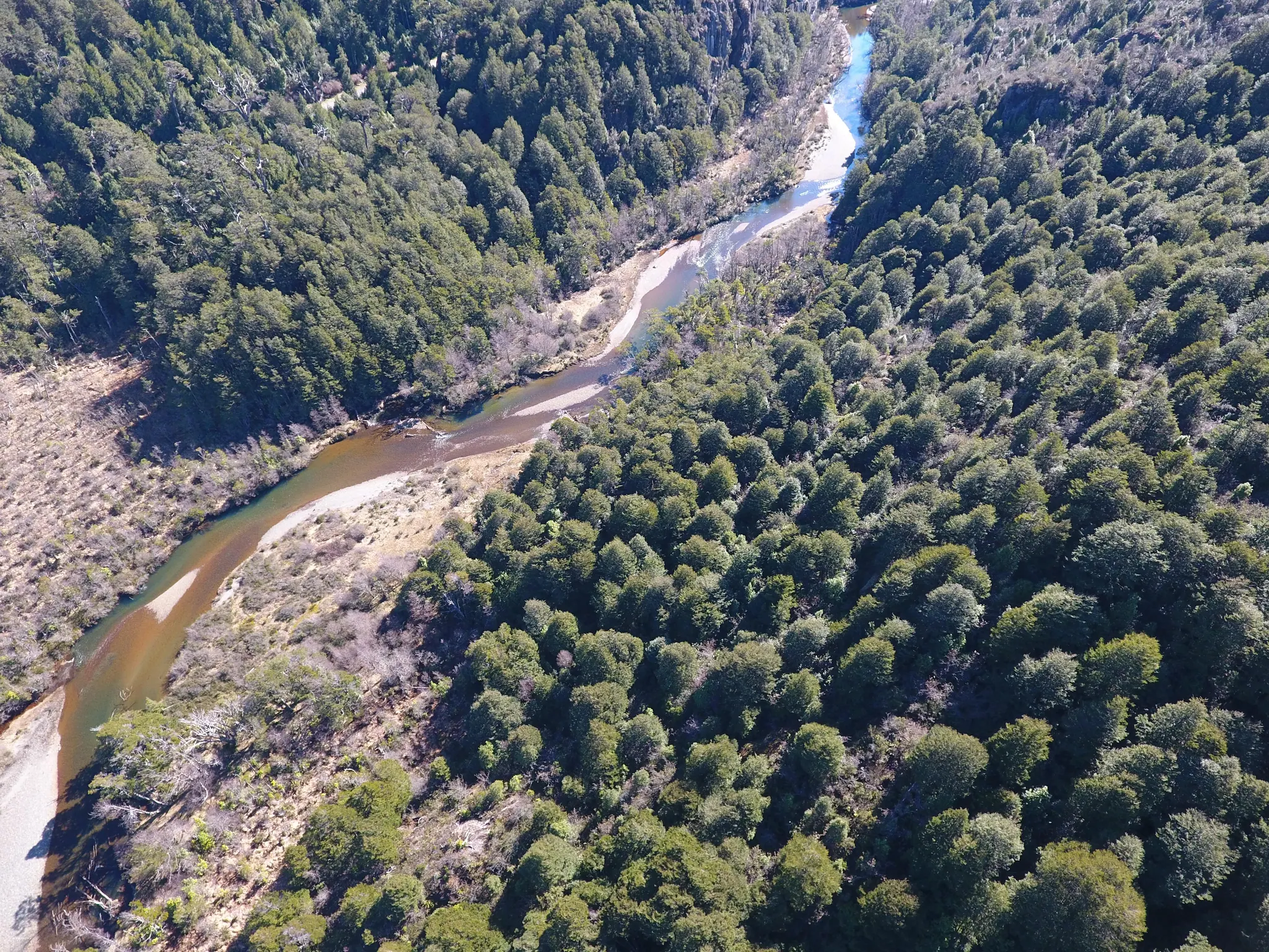 Vista aérea del Río Exploradores serpenteando entre el bosque